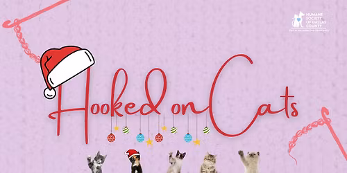 Hooked on Cats - Beginner Crochet