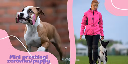 Mini przebiegi klasa "0" oraz puppy\/pocz\u0105tki - Warszawa