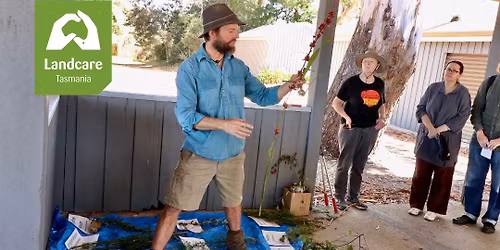 Priority Weeds workshop - identifying & managing priority weeds