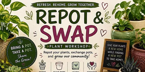 Fall Into Something New - Repot & Swap