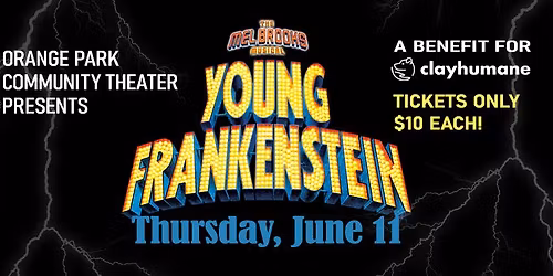 Mel Brooks' Young Frankenstein - The Musical