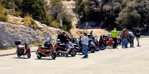 May ROTM - Mt Lemmon 