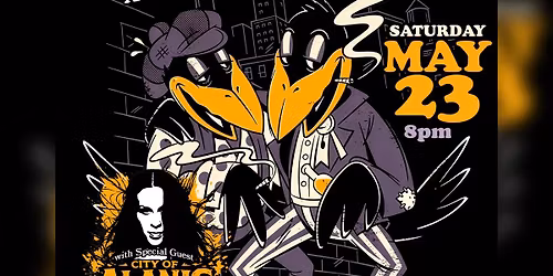 Twice as Hard Black Crowes Tribute Comes to View St Chicopee