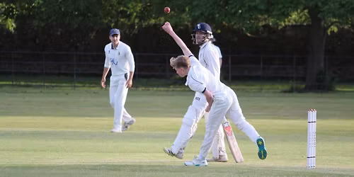 Annual Alscot T20 Cricket Friendly & Social Evening at Alscot Park