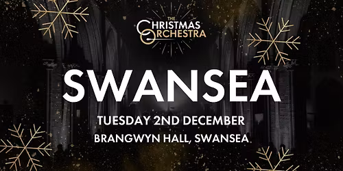 \ud83c\udfb6\ud83c\udf84The Christmas Orchestra - SWANSEA\ud83c\udf84\ud83c\udfb6