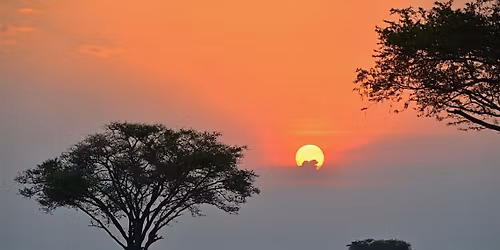 Africa Dream Talk: From Safari to Gorilla Trekking \u2014 Discover the Magic