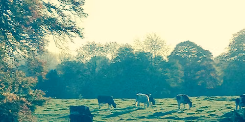Folk Connections at Christ Church Frome
