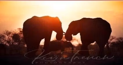 Southern African Summer Market 2026