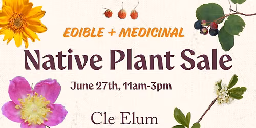 Native Plant Sale in Cle Elum \u2014 Edible + Medicinal Plants
