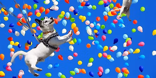 Cafe meeting - Burnaby Spanish English Language Exchange