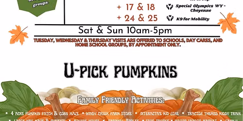 2026 Autumn Fest- Pumpkin Patch