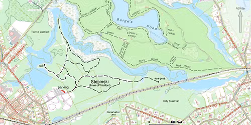 Stepinski Parcel Guided Hike