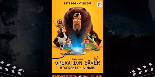 Operation Bäver