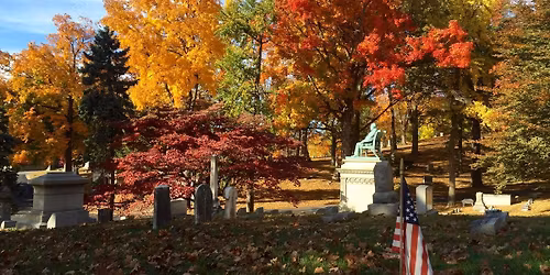  Woodland Arboretum Tree Tour