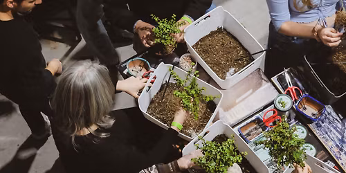 Bonsai Workshop at Crooked Beech Brewing Company