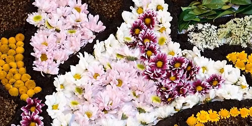 Infiorata - Flower Art Street Fest!