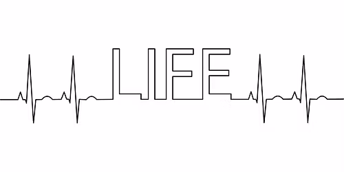 Live Well, Age Well, Stay Safe Presentation