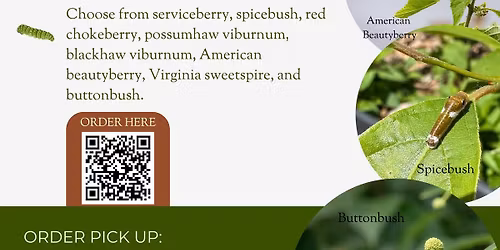 T. Gilbert Pearson Audubon Society Fall Native Shrub Sale