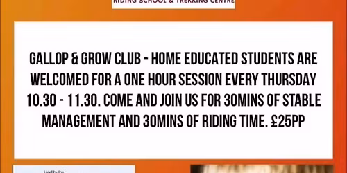 Home Ed Students - Horse care & Riding club