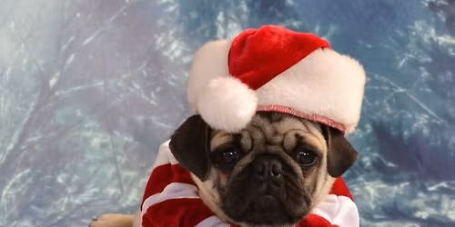 Santa Paws Photobooth