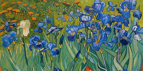 Sip & Paint Van Gogh's Irises