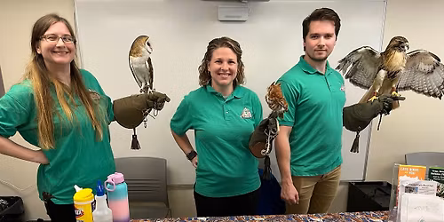 Raptor and Birds of Prey