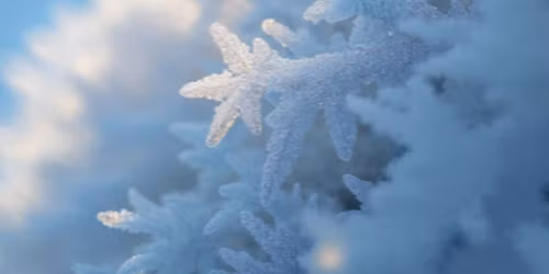Réalisation de sculptures sur glace
