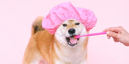 Discounted Exit Baths!