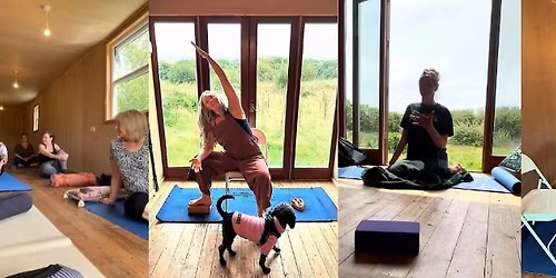 Free Gentle Stretching \/ Chair Yoga