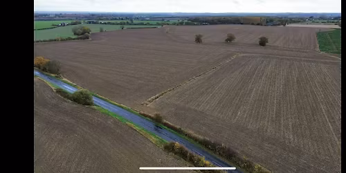 Kimbo Detecting Sociaty Dig