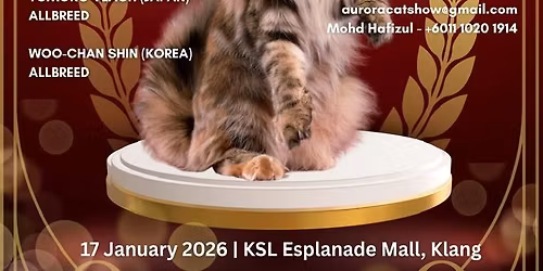 AURORA TICA INTERNATIONAL CAT SHOW