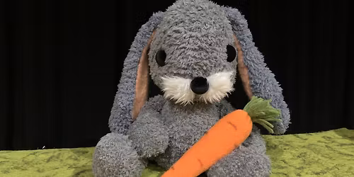 A CS\u00daFOL\u00d3D\u00d3S NY\u00daL \/\/ a Nefelejcs B\u00e1bsz\u00ednh\u00e1z el\u0151ad\u00e1sa