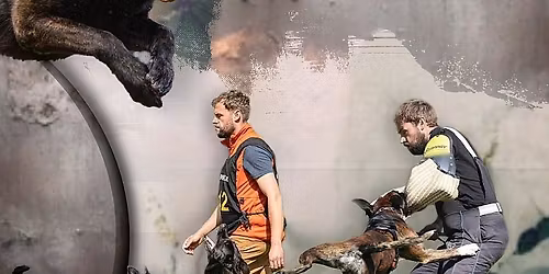 Summercamp Netherlands  2026