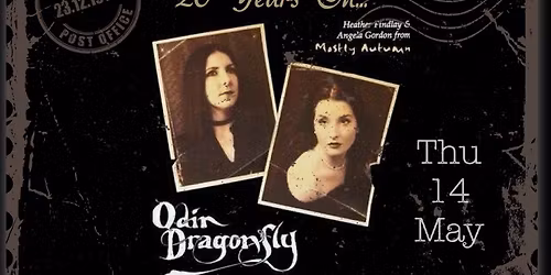 Odin Dragonfly at The King Arthur, Glastonbury 