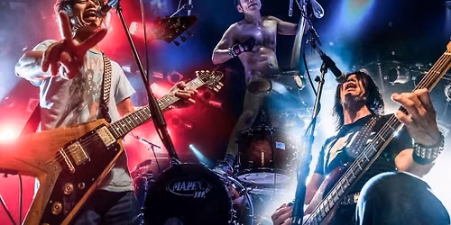 Electric Eel Shock