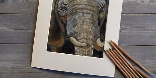 Gentle Giant- Elephant Pastel Workshop