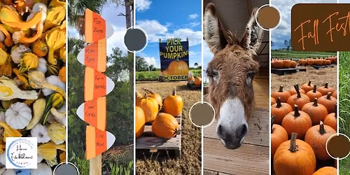 HE Farms Fall Festival 2025