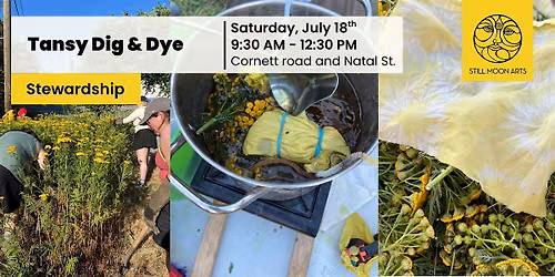 Tansy Dig & Dye Session at Cornett Road