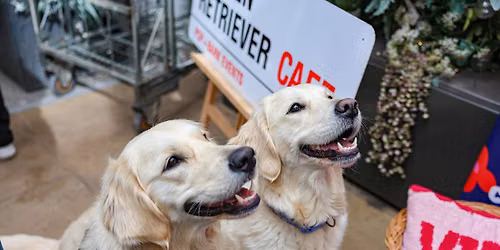 GOLDEN RETRIEVER CAFE - LIVERPOOL