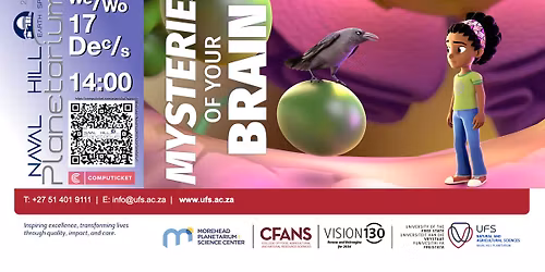 Mysteries of your brain (Eng)