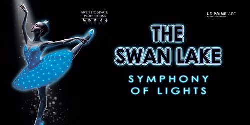 Swan Lake \u2014 Symphony of Lights