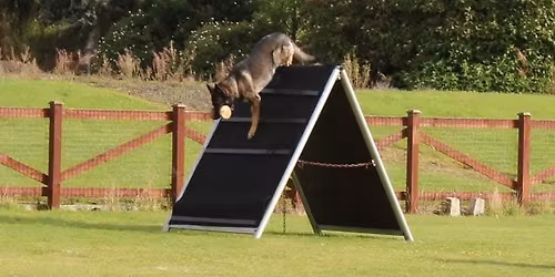 OG Templepatrick Club IGP Trial