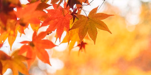 Fall into Savings at Remick Ridge!