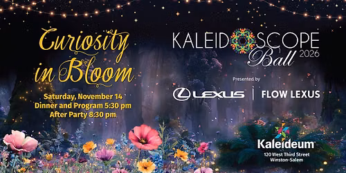 Kaleidoscope Ball: Curiosity in Bloom