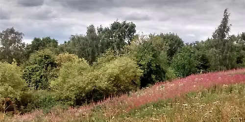 Walking Tour - Constable's Hampstead