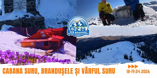 Cabana Suru, Brandu\u0219ele \u0219i V\u00e2rful Suru