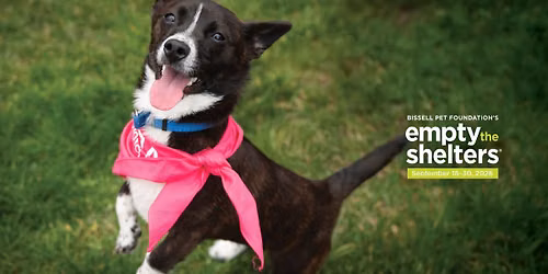 Howl-O-Ween Adoption Party 