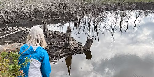 11\/9 Sunday - Penny Creek Natural Area Fall Cleanup