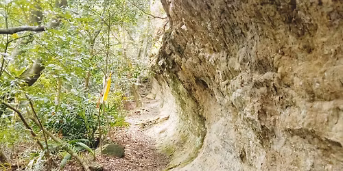 \u6708\u6247\u6e56\u5c71.\u5927\u5ca9\u58c1.\u56db\u5206\u5b50\u53e4\u9053O\u578b