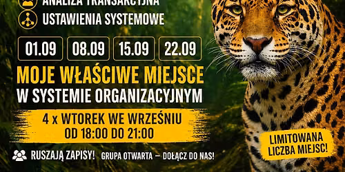 MOJE W\u0141A\u015aCIWE MIEJSCE W SYSTEMIE ORGANIZACYJNYM: ANALIZA TRANSAKCYJNA + USTAWIENIA SYSTEMOWE